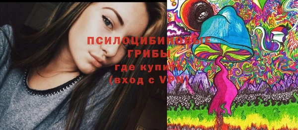 дживик Алексин