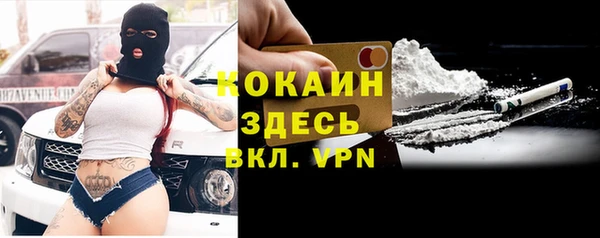 дживик Алексин