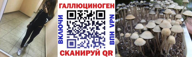Псилоцибиновые грибы GOLDEN TEACHER  купить наркотики цена  Ивдель 